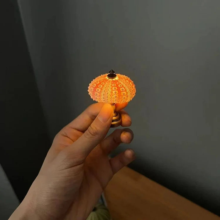 Lampe à poser DIY en coquille d'oursin, base dorée – LumiCraft — dimensions et cotes